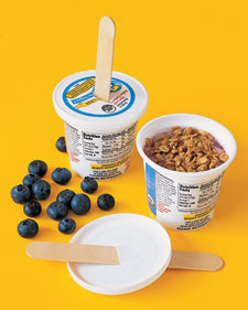 Yogurt on a Stick