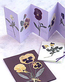 Pressed Pansy Cards
