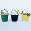 Trick-or-Treat Buckets