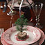 Tree Place Cards