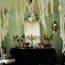 Moth-Eaten Curtains