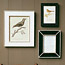 Bean Frames 