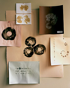  Mushroom Prints: How to Print Mushrooms