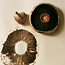 Mushroom Prints
