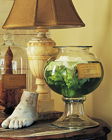 Specimen Jars