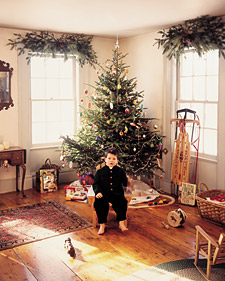 Photographing the Tree