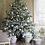 White Christmas