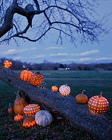 Celestial Pumpkins