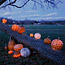 Celestial Pumpkins