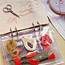 Embroidery Organizer