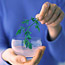 The Seder Ritual