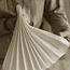Napkin Folding: Accordion Fold