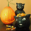Black Cats