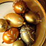 Gilded Eggs How-To