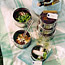 Shrimp Summer Rolls
