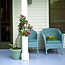 Caring for Furniture
