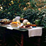An Autumn Picnic