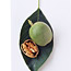 Healthy Eating: Walnuts