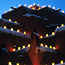 Winter Wonderlands