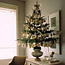 Decorate a Tree