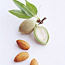 Healthy Almond Menu