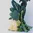 Cruciferous Vegetables