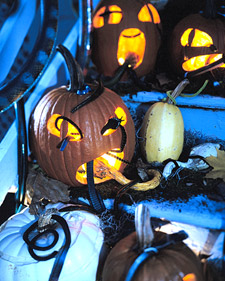 Snake Pumpkins