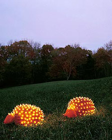 Pumpkin Porcupines Pumpkin Porcupines: Martha Stewart