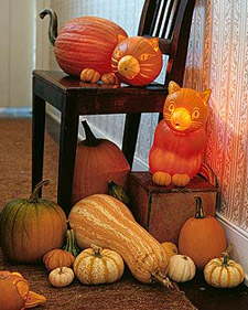 Pumpkin Cats Pumpkin Cats: Martha Stewart