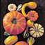 Picking Pumpkins