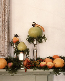 Waxed Fruit