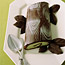 Buche de Noel