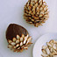 Pinecone Cakes How-To