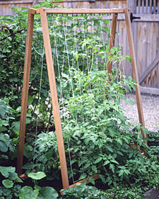 A-Frames