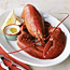 Lobster 101