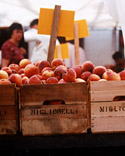 Picking Produce