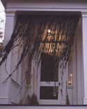Witch's Curtain