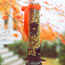 Ribbon Bird Feeder
