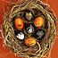 Halloween Eggs