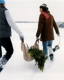 Deck the Halls with Nature's Finery