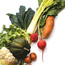 Healthy Salad Recipes