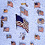 ...Patriotic Pins