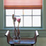 Ribboned Roller Shade
