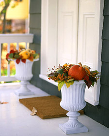 Outdoor Bouquet