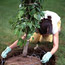 Better Root Growth Tip