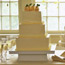 Meyer Lemon Cake