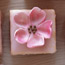 Almond Petits Fours