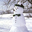 ...Beauty Snowman