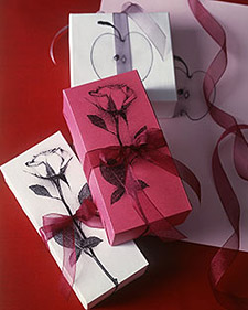 craft_of_the_day