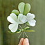 Shamrock Boutonniere